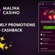 Before you register at Malina Online casino, here is what [&hellip;]